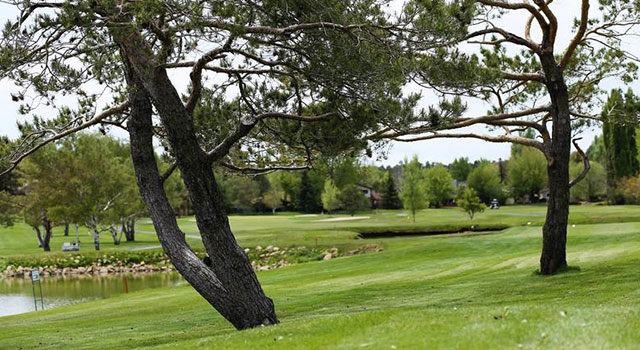 Host Your Outing At Continental CC